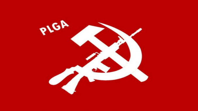 people_s_liberation_guerrilla_army__naxals__flag_by_gracobabeuf_d91dc6y-fullview-800x445